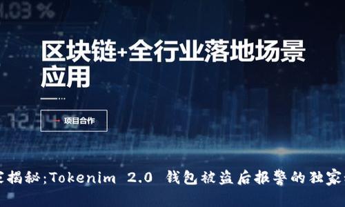 专家揭秘：Tokenim 2.0 钱包被盗后报警的独家秘诀