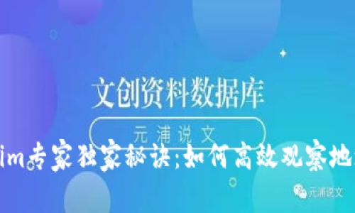 揭秘Tokenim专家独家秘诀：如何高效观察地址交易动态