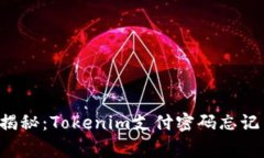 专家独家揭秘：Tokenim支付密码忘记了怎么办？