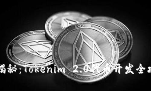 专家独家揭秘：Tokenim 2.0代币开发全攻略与秘诀