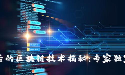 玛雅币背后的区块链技术揭秘：专家独家分享秘诀