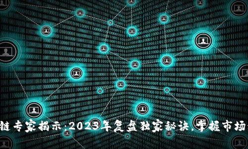 区块链专家揭示：2023年复盘独家秘诀，掌握市场动向！