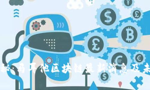 专家独家揭秘：马耳他区块链最新消息及未来发展秘诀