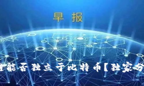 专家揭秘：区块链能否独立于比特币？独家分析揭示背后秘诀