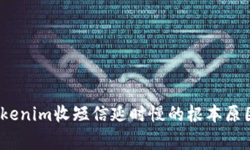 独家揭秘：Tokenim收短信延时慢的根本原因及解决秘诀