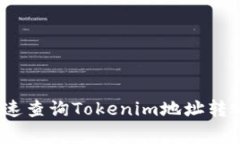 专家揭秘：如何快速查询Tokenim地址转账记录的独