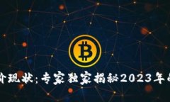 区块链币价现状：专家独家揭秘2023年的市场秘诀