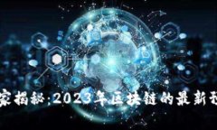区块链专家独家揭秘：2023年区块链的最新预期与
