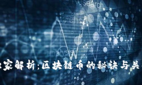专家独家解析：区块链币的秘诀与关键概念