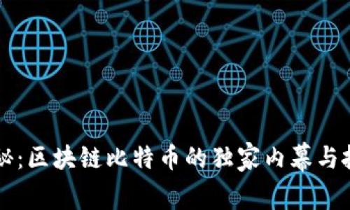 专家揭秘：区块链比特币的独家内幕与投资秘诀