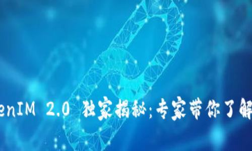 ETHEREUM TokenIM 2.0 独家揭秘：专家带你了解它的秘诀与前景