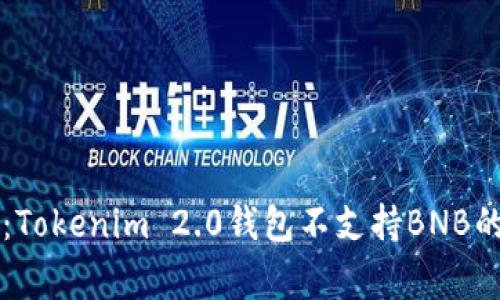 专家揭秘：Tokenim 2.0钱包不支持BNB的独家秘诀