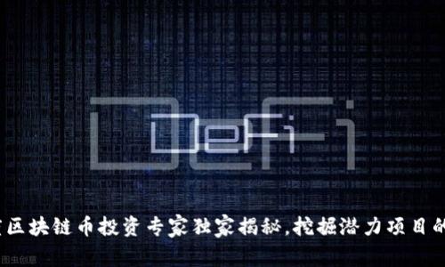 2021年度区块链币投资专家独家揭秘，挖掘潜力项目的最佳秘诀