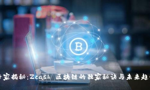 专家揭秘：Zcash 区块链的独家秘诀与未来趋势