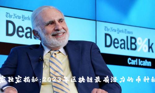 专家独家揭秘：2023年区块链最有潜力的币种秘诀