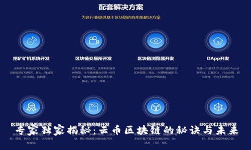 专家独家揭秘：云币区块链的秘诀与未来