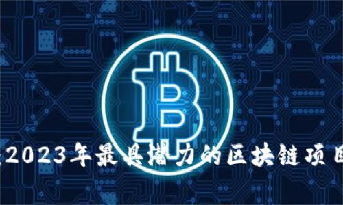 独家揭秘：2023年最具潜力的区块链项目专家推荐