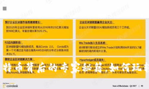 独家揭秘：比特币背后的专家秘籍，如何玩转区块链世界