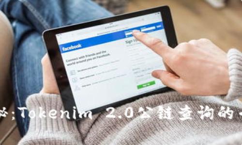 独家揭秘：Tokenim 2.0公链查询的专家秘诀