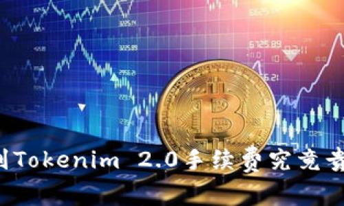 专家揭秘：火币提币到Tokenim 2.0手续费究竟贵不贵？独家秘诀揭秘！