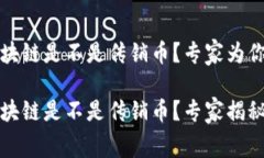 海尔维区块链是不是传销币？专家为你揭秘海尔