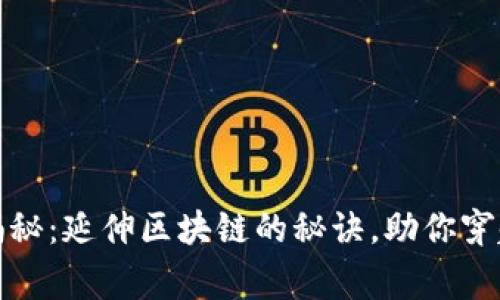 比特币独家专家揭秘：延伸区块链的秘诀，助你穿越数字货币新时代