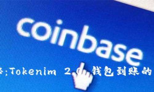 专家揭秘：Tokenim 2.0 钱包到账的独家秘诀