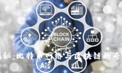 独家揭秘：比特币网络与区块链的专家秘诀