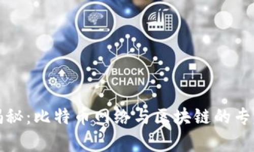 独家揭秘：比特币网络与区块链的专家秘诀