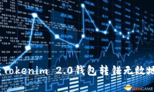 专家独家揭秘：Tokenim 2.0钱包转错无效地址的解决秘诀