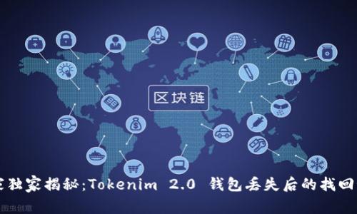 专家独家揭秘：Tokenim 2.0 钱包丢失后的找回秘诀