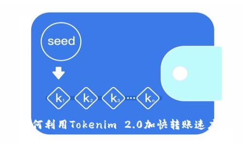 专家揭秘：如何利用Tokenim 2.0加快转账速度的独家秘诀