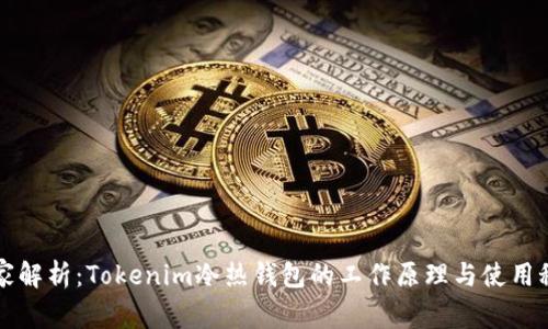 专家解析：Tokenim冷热钱包的工作原理与使用秘诀