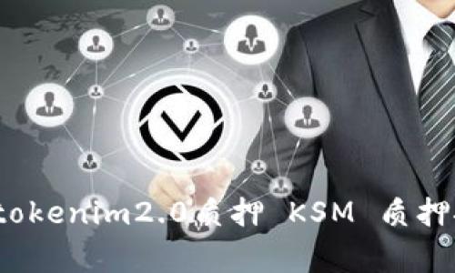 专家独家揭秘：tokenim2.0质押 KSM 质押挖矿界面全解析