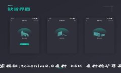 专家独家揭秘：tokenim2.0质押 KSM 质押挖矿界面全