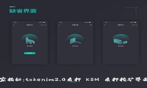 专家独家揭秘：tokenim2.0质押 KSM 质押挖矿界面全解析