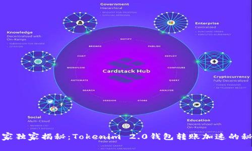 专家独家揭秘：Tokenim 2.0钱包转账加速的秘诀