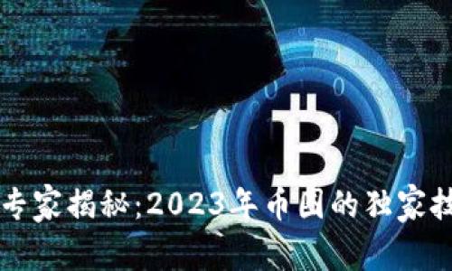 区块链专家揭秘：2023年币圈的独家技术秘诀