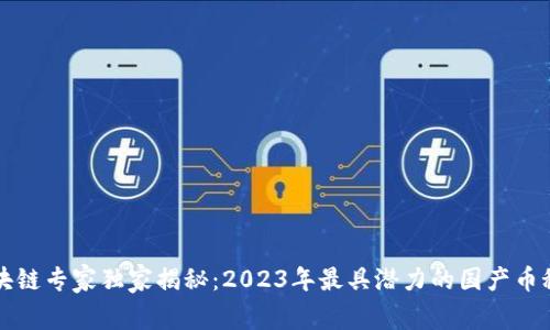 区块链专家独家揭秘：2023年最具潜力的国产币秘诀
