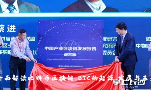 全面解读比特币区块链：BTC的起源、发展与未来
