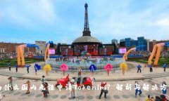 为什么国内无法申请Tokenim? 解析与解决方案