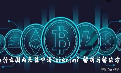 为什么国内无法申请Tokenim? 解析与解决方案