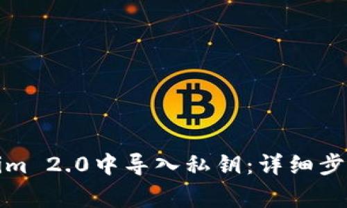 如何在Tokenim 2.0中导入私钥：详细步骤与注意事项