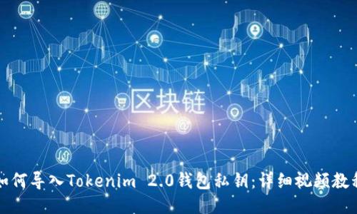 如何导入Tokenim 2.0钱包私钥：详细视频教程
