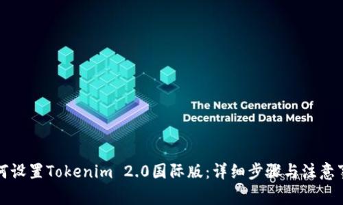 如何设置Tokenim 2.0国际版：详细步骤与注意事项