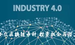 探索小众区块链币种：投资机会与潜力解析