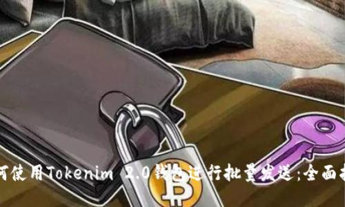 如何使用Tokenim 2.0钱包进行批量发送：全面指南