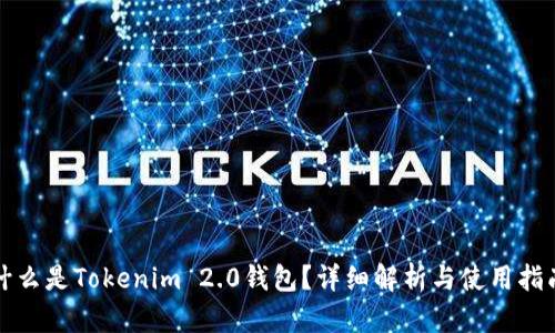 什么是Tokenim 2.0钱包？详细解析与使用指南