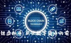 FTC区块链虚拟币：新兴数字货币的前景与挑战