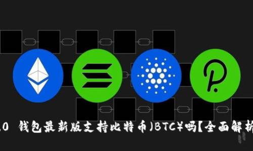 Tokenim 2.0 钱包最新版支持比特币（BTC）吗？全面解析与用户指南